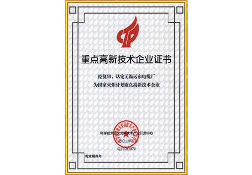 重點高新技術企業證書